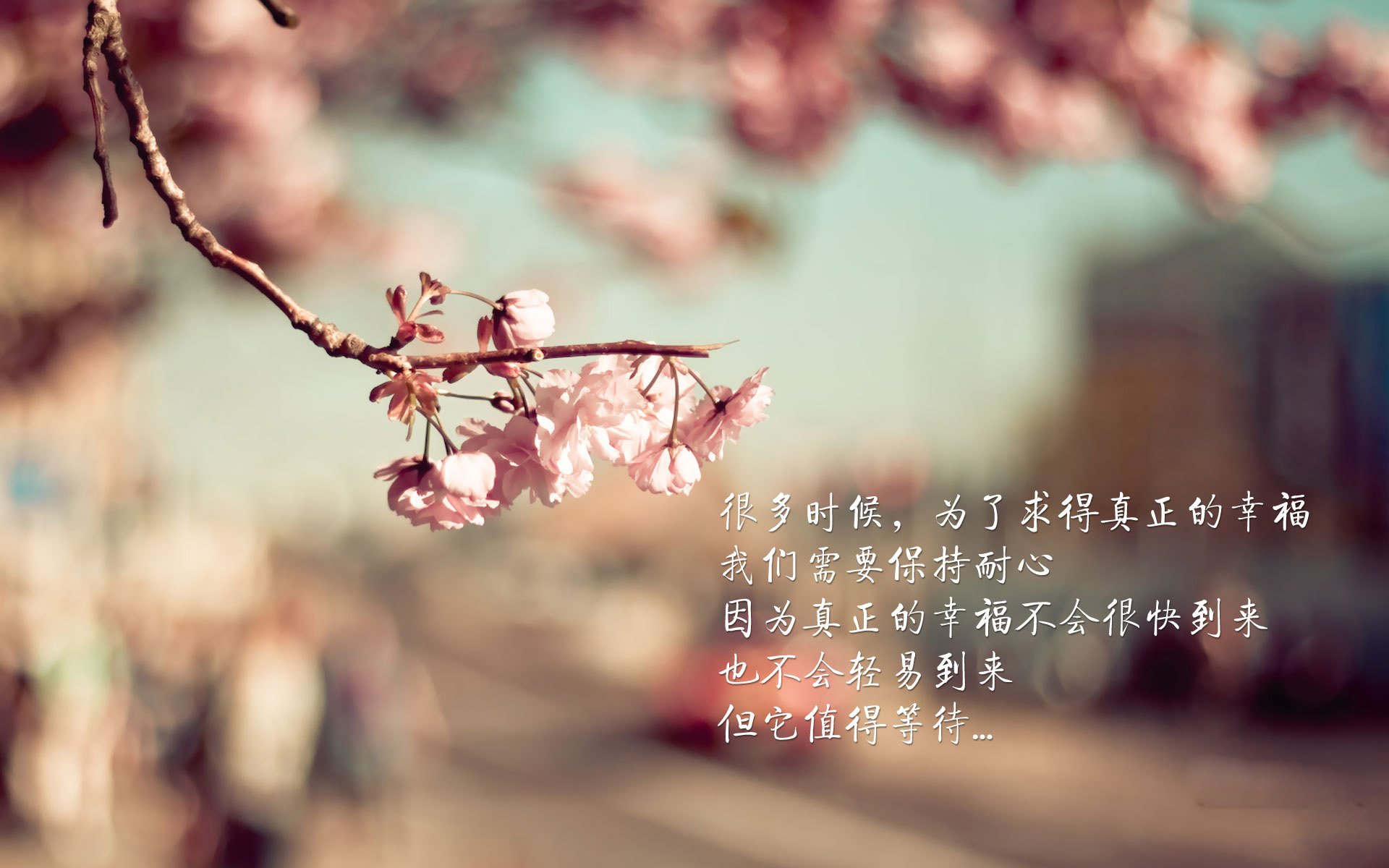 开云官方网站-心理战术：教练如何利用心理战术扰乱对手，心理战进攻的基本战法