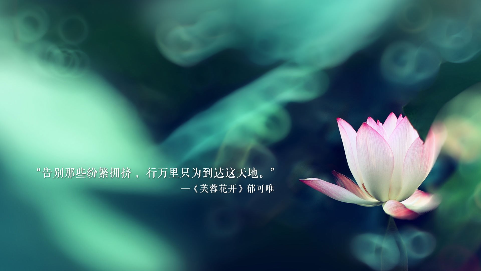 迈阿密热火续约核心，队史一大喜讯，迈阿密热火队百度百科
