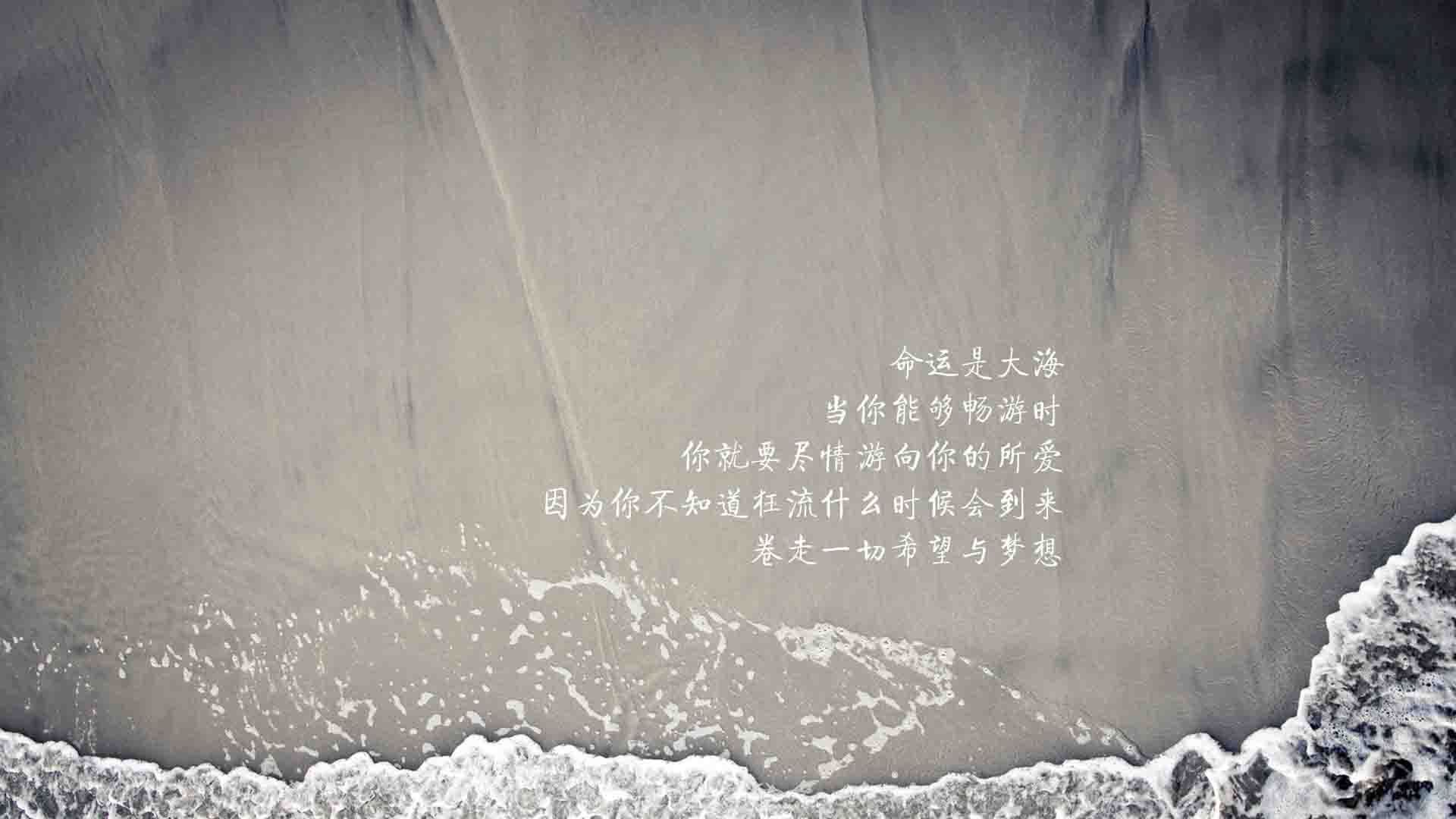 反击之战：尼日利亚与阿尔及利亚交锋，尼日利亚vs阿尔及利亚