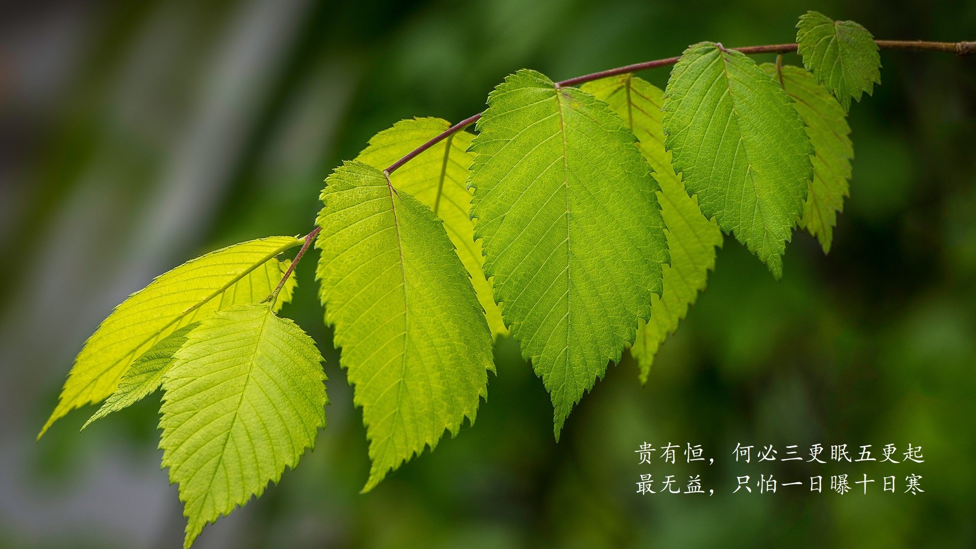 开云网页版-巴黎主场沸腾！法国小组赛最后一刻绝杀，巴黎比赛视频