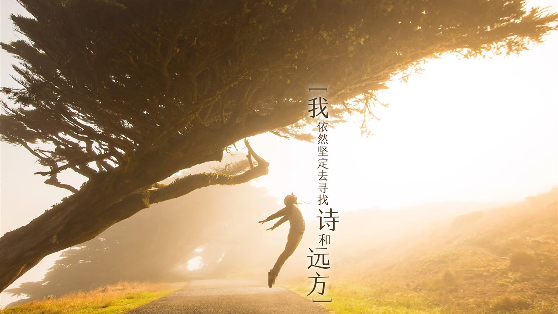 乒乓战术细节：Chinese Taipei如何打破对手防线，中国台北乒乓球团体赛