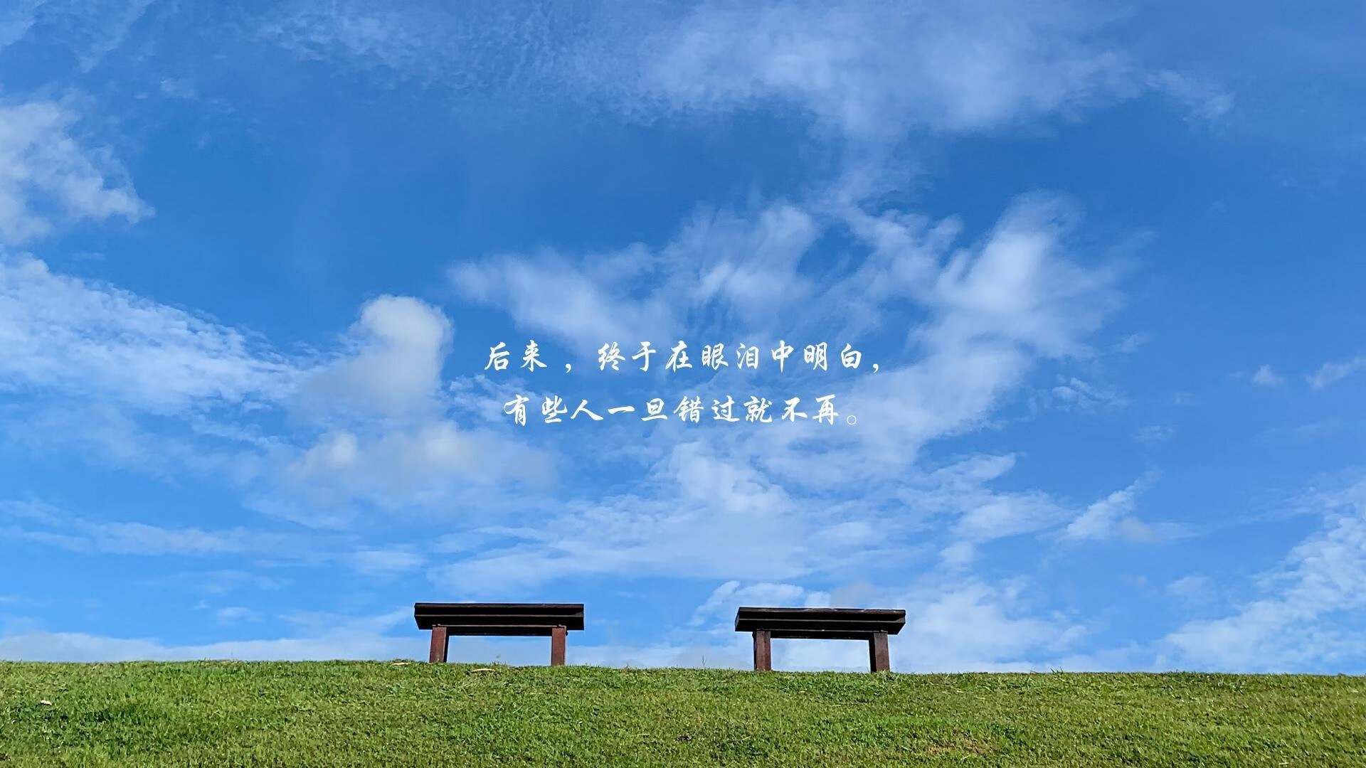 波兰队未来发展：如何通过优化心理素质提高比赛抗压能力，波兰队员名单