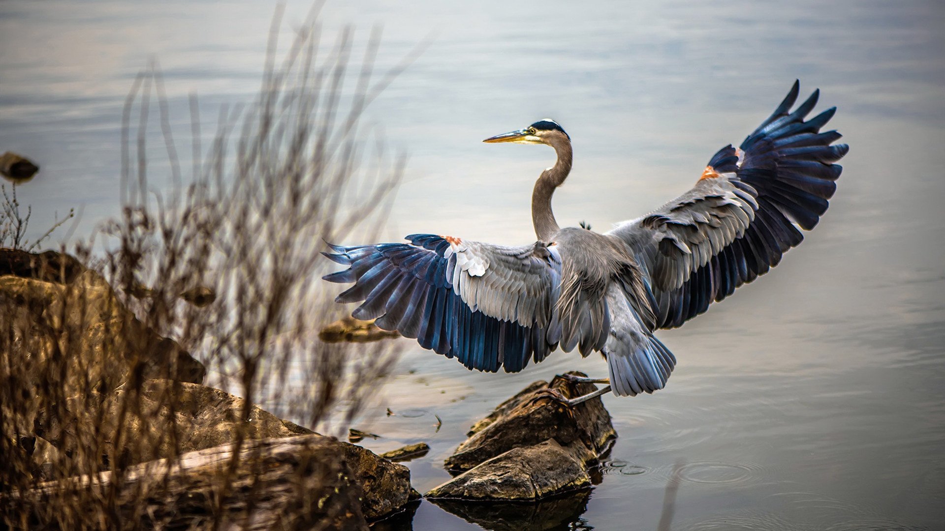 kaiyun官方网站-高节奏打法中控卫承担的核心分配任务分析，节奏控卫的英文