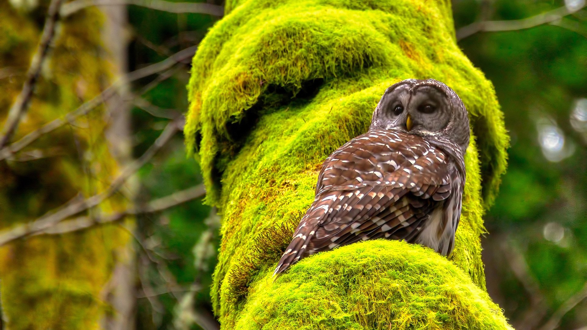 kaiyun.com-世界杯突破极限：精彩瞬间层出不穷！，世界杯突发