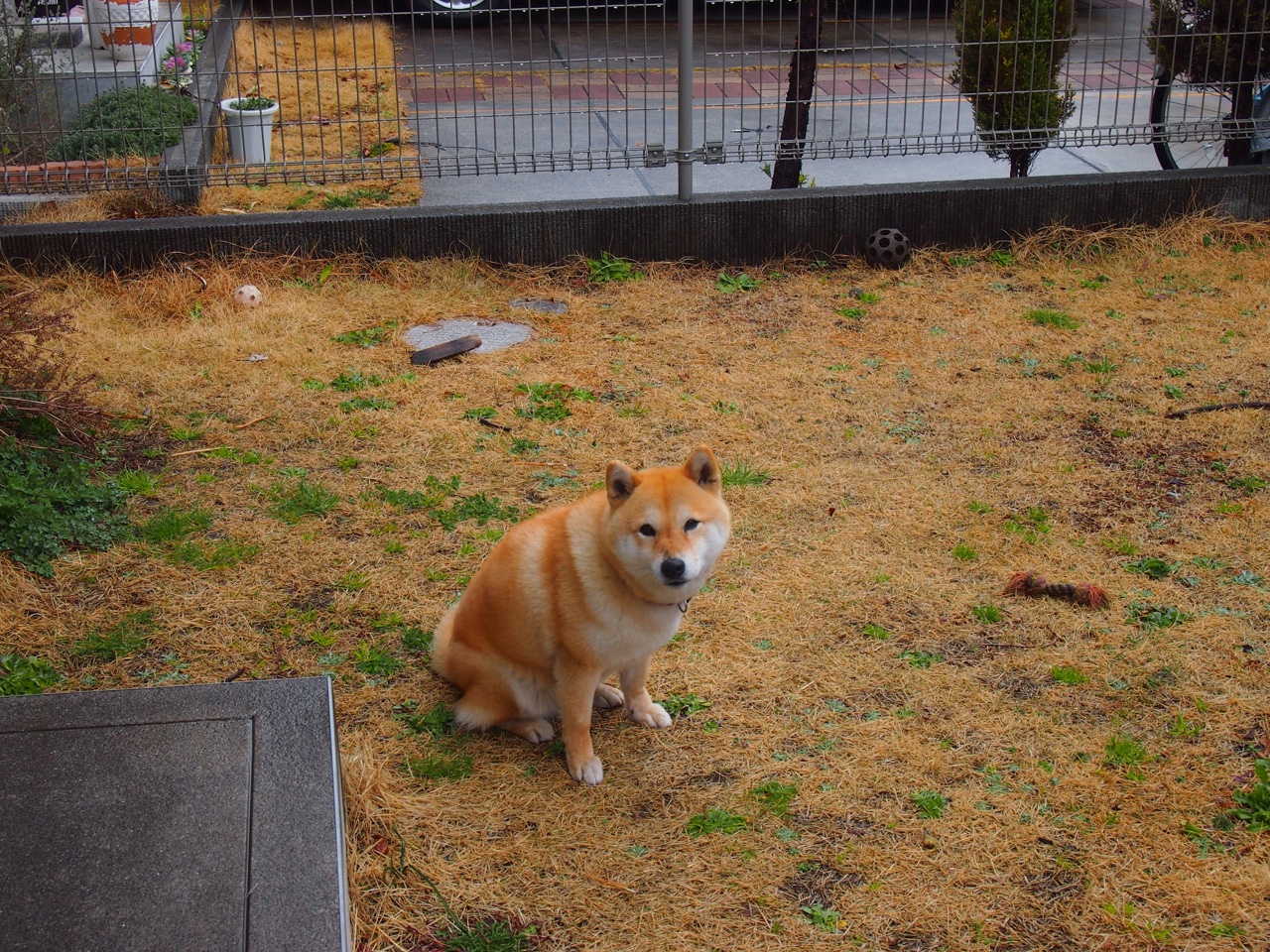 开云官网APP下载-中国足球联赛注重塑造球员正面社会形象，中国足球反映出该国家社会形态