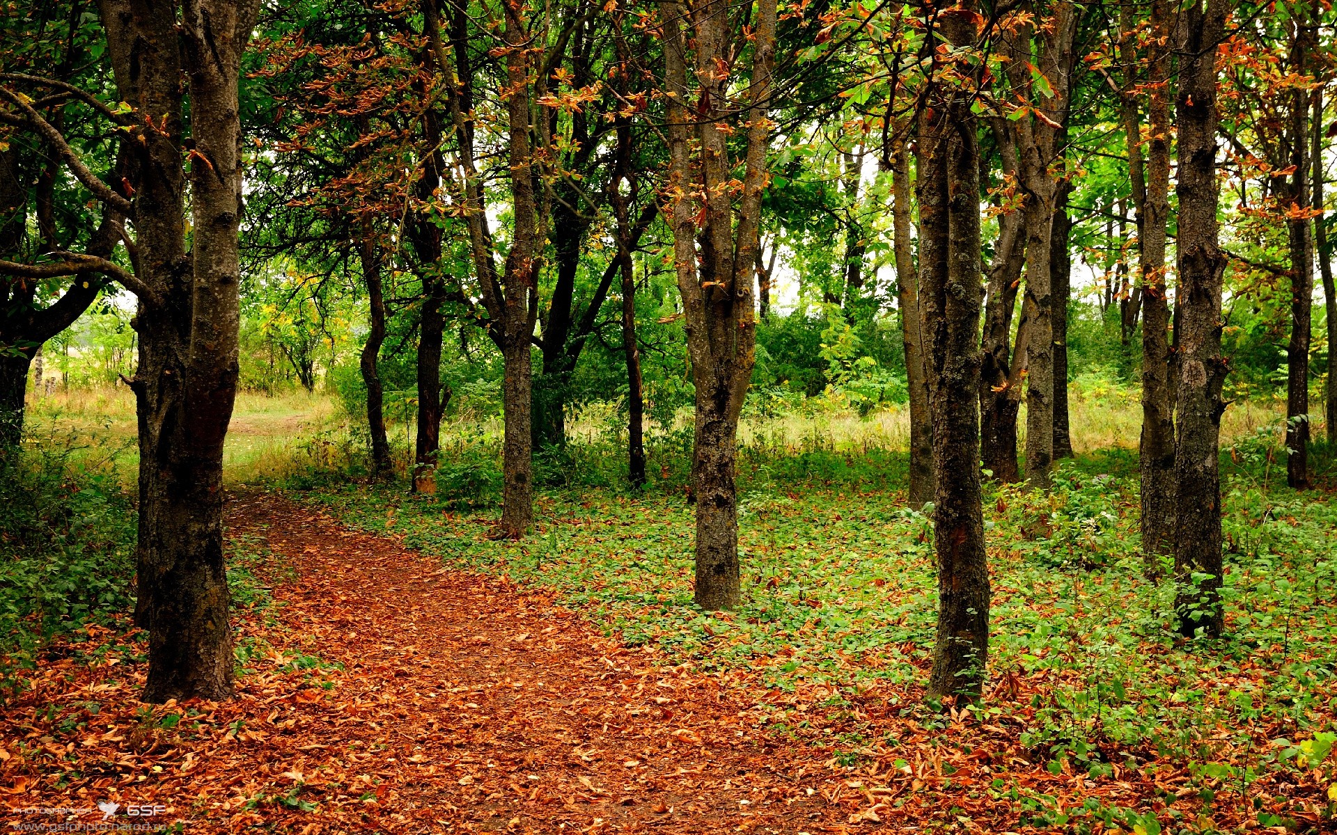 开云·体育官网-中长距离自由泳稳定发挥，中长距离自由泳关键技术
