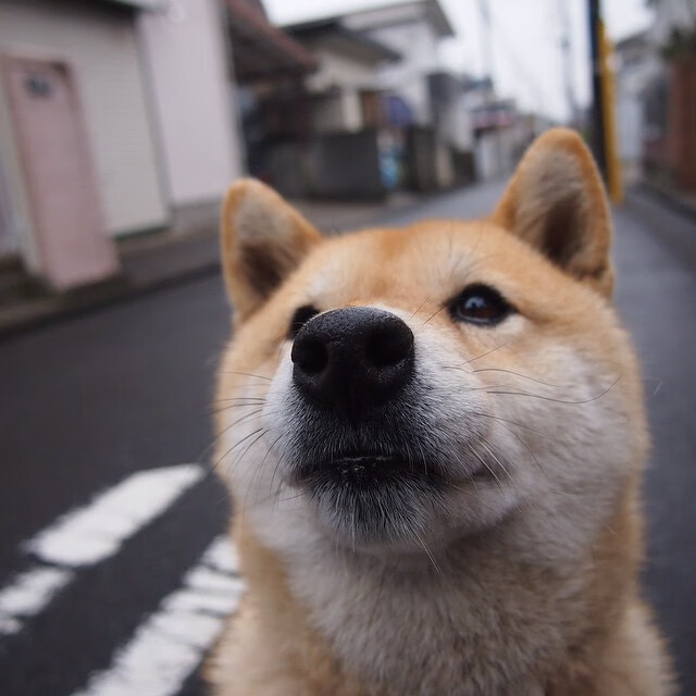 主场比赛安保加强增加观众通道提高安全与流通效率,比赛场合观众需注意什么