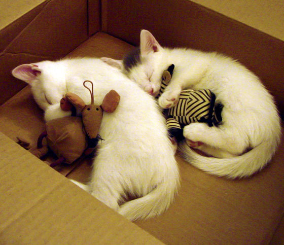 开云官网-历史对决再度上演昔日恩怨能否在场上得以解决，历史对对碰