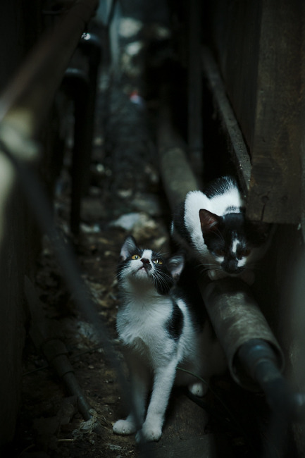 新兴足球国家进步明显,未来世界足球格局或将重新洗牌,2021中国足球未来10大新星