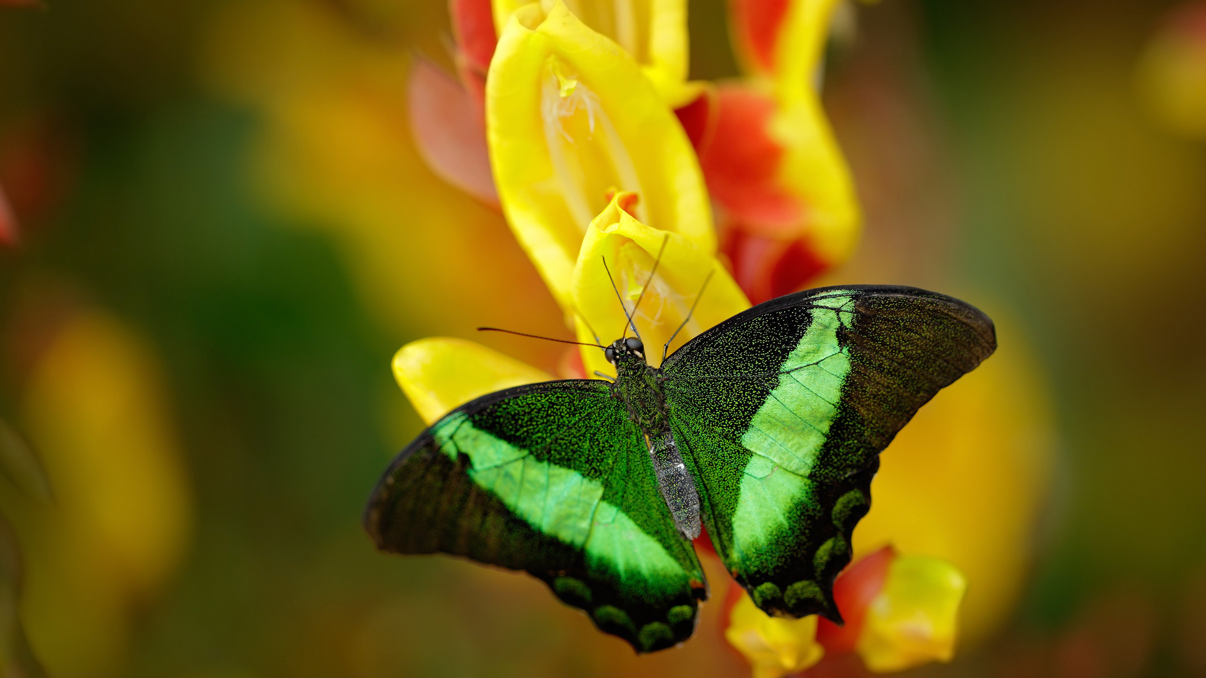 KAIYUNAPP-浙江队首次夺得CBA总冠军，浙江队首次夺得cba总冠军是谁