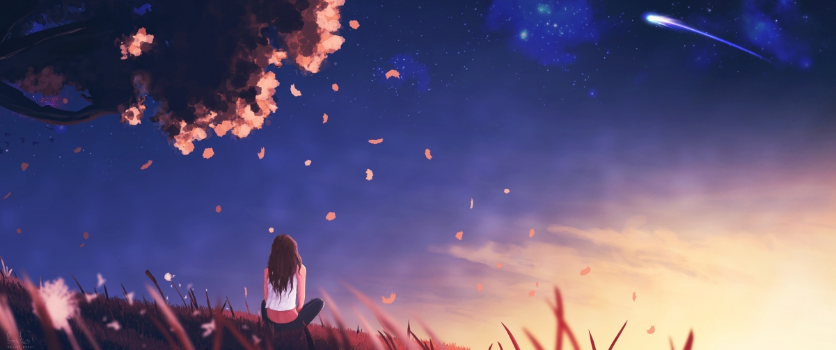 美洲杯激情夜：明星闪耀，精彩不断！，美洲杯锦集