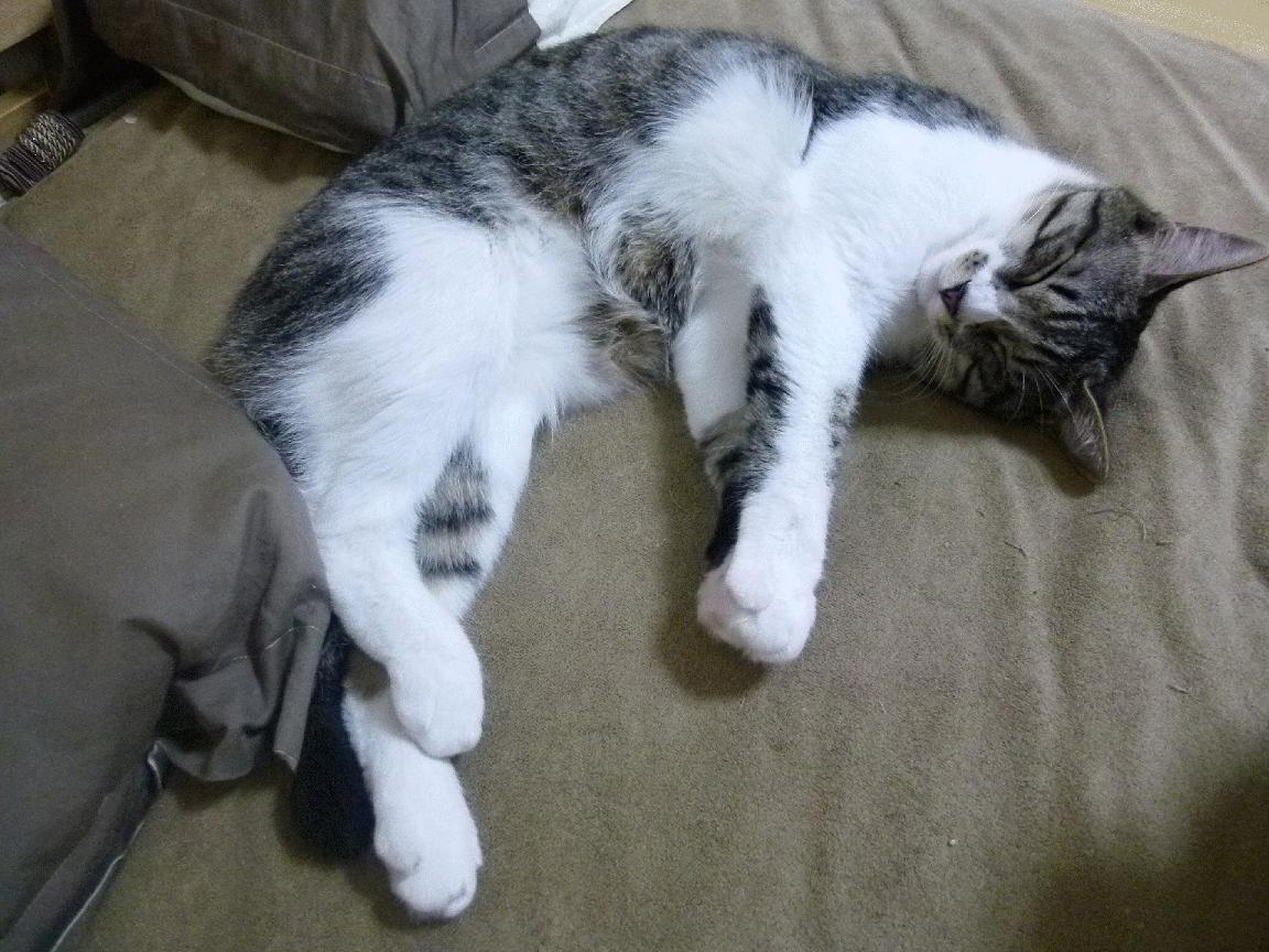 英超终极冲刺：每场都孕育奇迹，英超 满场