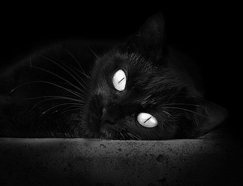 阿根廷锋线在世界杯预选赛中表现强劲