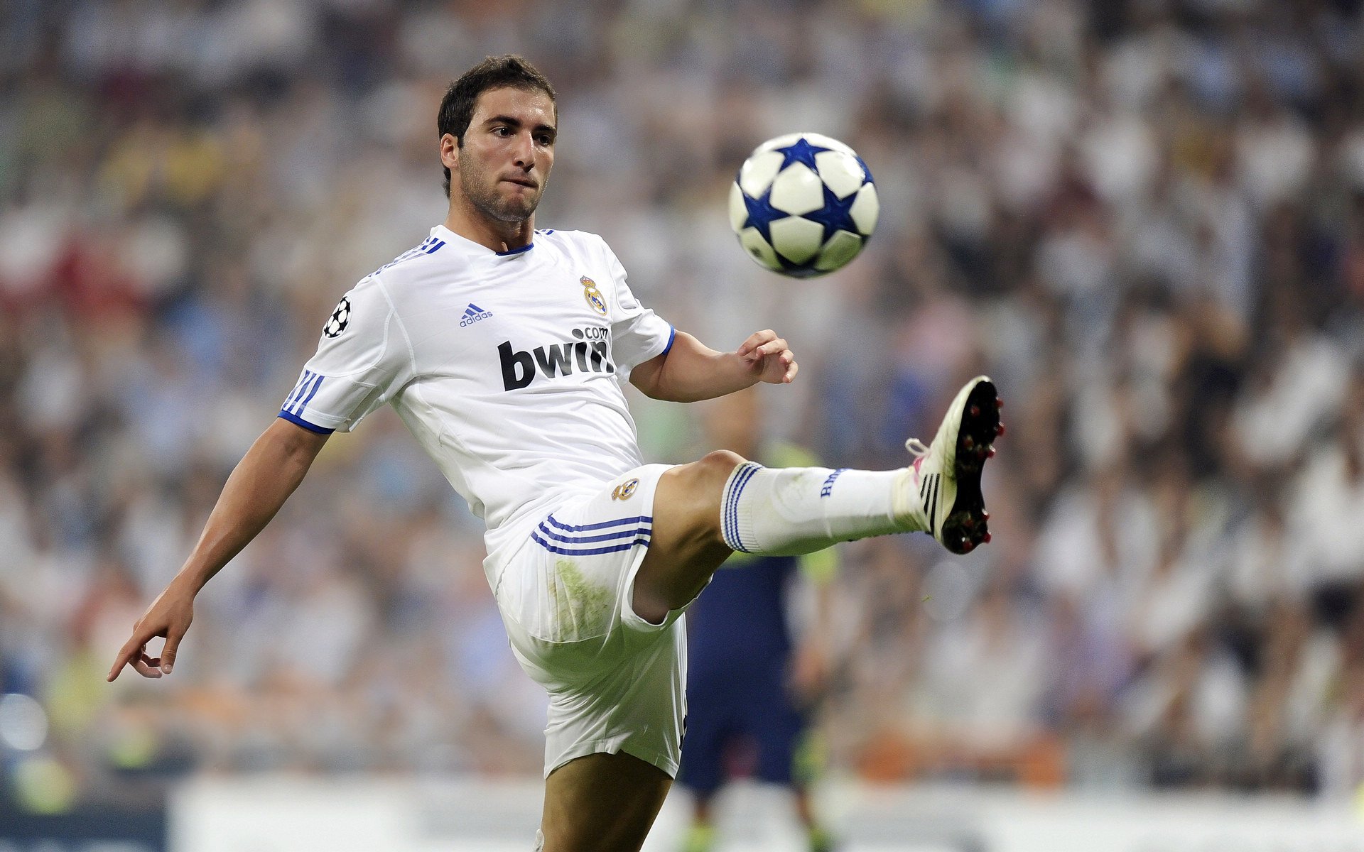 【道奇队的打击火力】全队合力轰出20+全垒打，道奇队主力