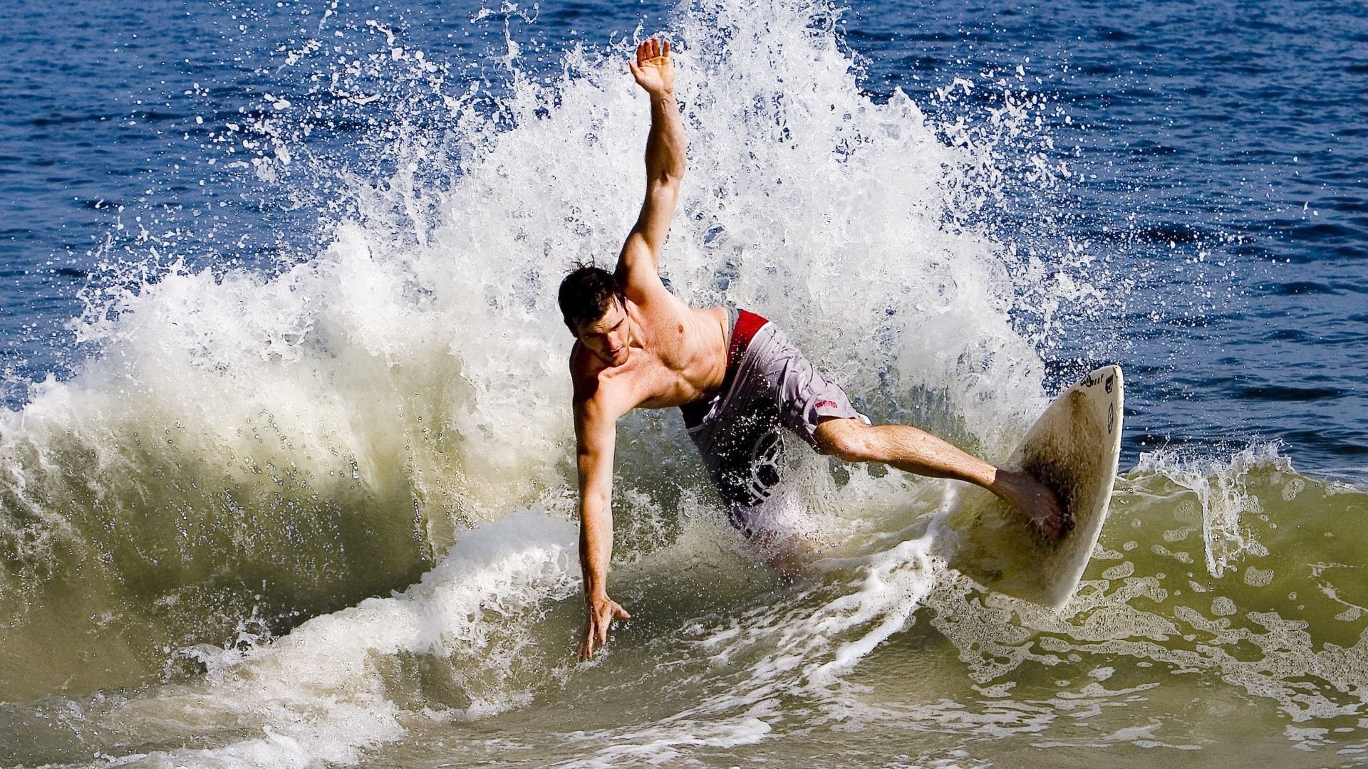 日本马术协会设立“Sinjska Alka”奖学金，支持传统马术研究。