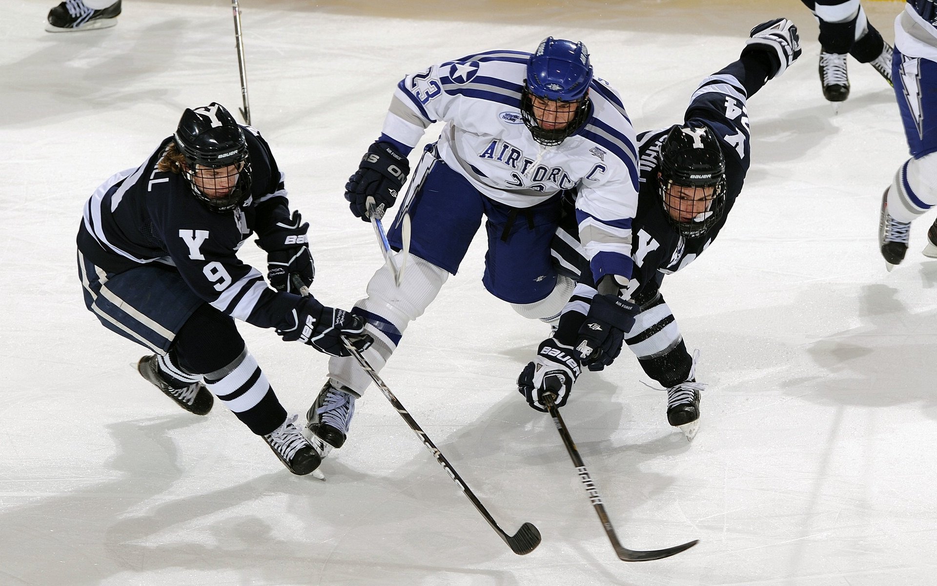法国举办篮球青少年培训营,法国举办篮球青少年培训营有哪些